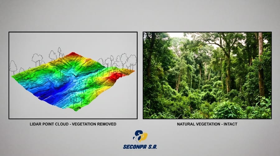 Comparación de nube de puntos LiDAR con y sin vegetación filtrada